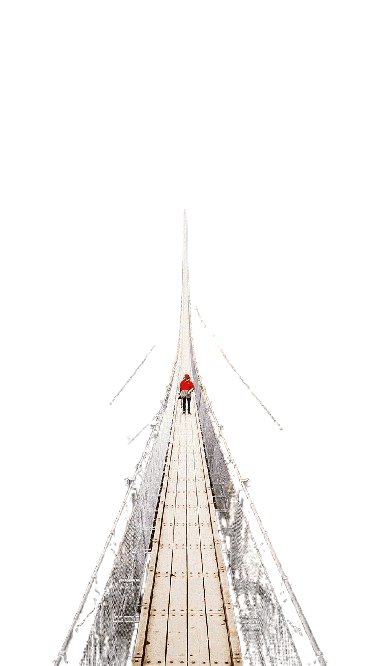 Suspension Bridge